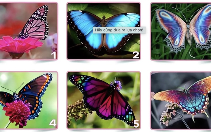 Quiz: Bạn có trực giác mạnh mẽ hay là người sở hữu tầm nhìn rộng - Ảnh 3.