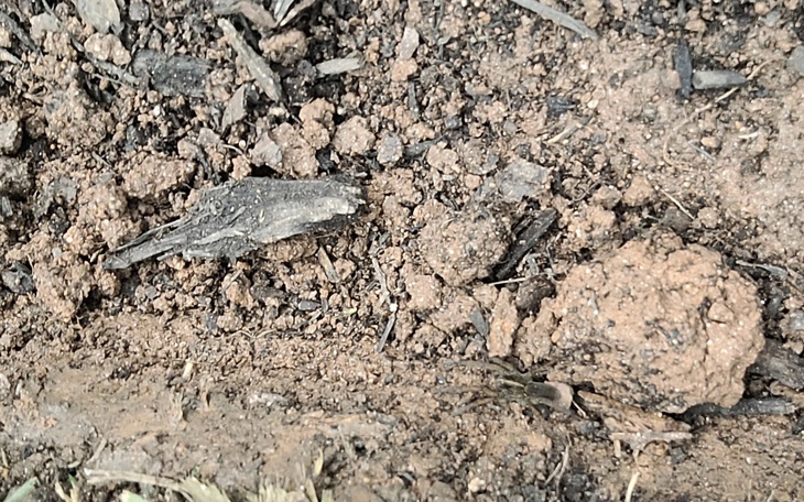 Quiz: Bạn có trực giác mạnh mẽ hay là người sở hữu tầm nhìn rộng - Ảnh 2.