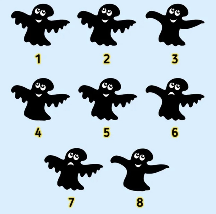 con nhện - Ảnh 3.