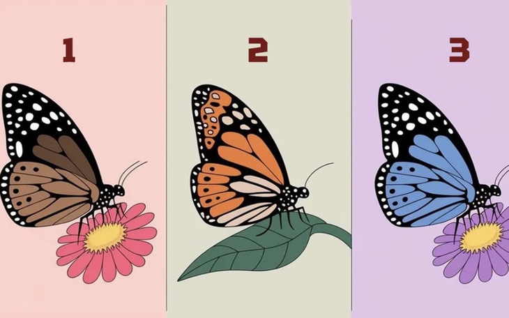 Quiz: Bạn thông minh, tháo vát hay là người điềm đạm, lý trí - Ảnh 2.