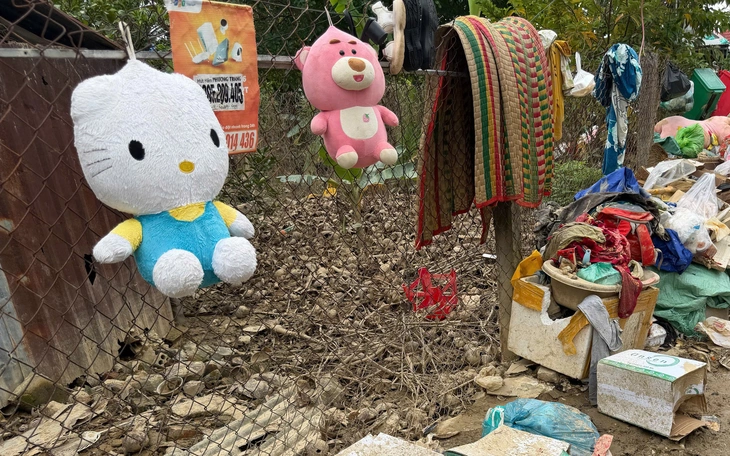 Bài học quản lý nước từ Singapore và Hà Lan mà Việt Nam có thể học hỏi - Ảnh 2.