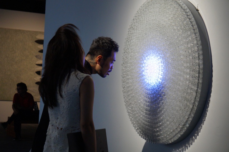 bèo hoa dâu - Ảnh 2.