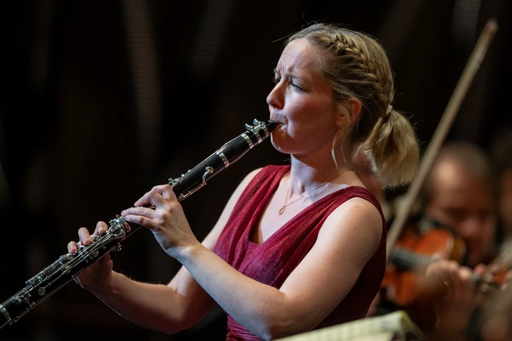 Spirit of Vienna - Ảnh 1.