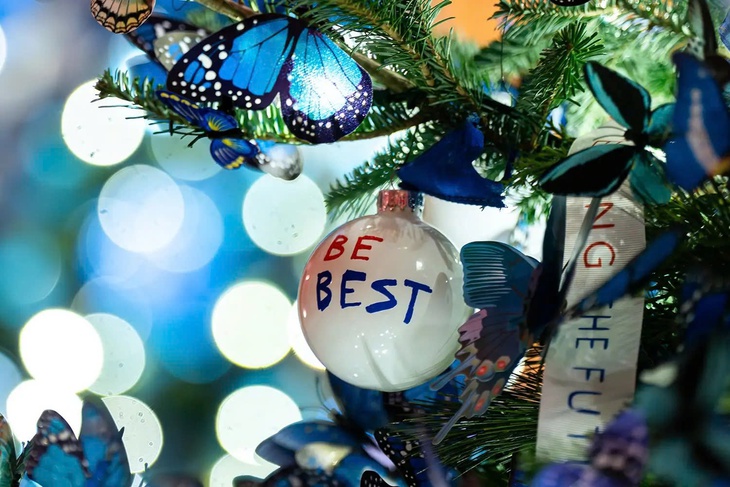 Bà Melania Trump trang trí Nhà Trắng đón Giáng sinh - Ảnh 4.