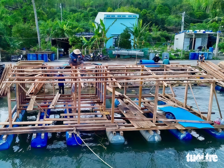 tôm hùm - Ảnh 7.