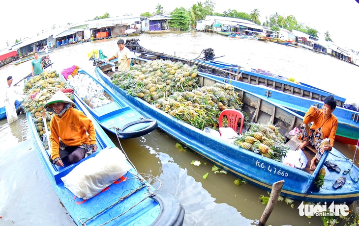 Vĩnh Phong - Ảnh 2.