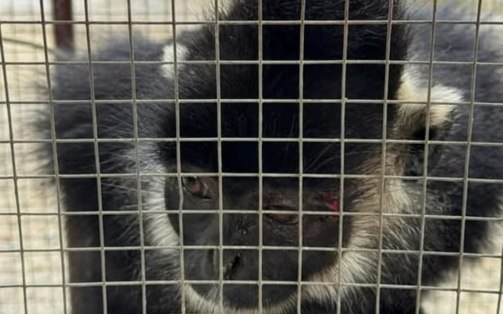 Hát karaoke gây ồn ngày đêm đều bị phạt; Khách không trả tiền mặt bị hút lại xăng, phải dẫn bộ 3km - Ảnh 4.