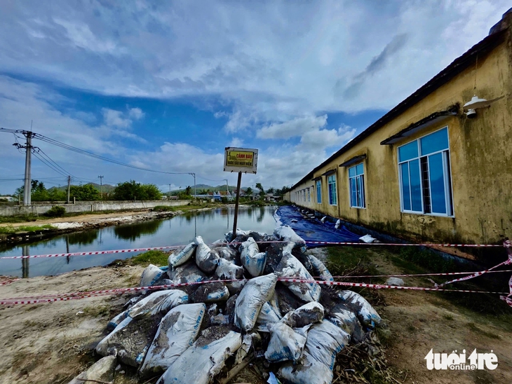 nâng cấp - Ảnh 2.