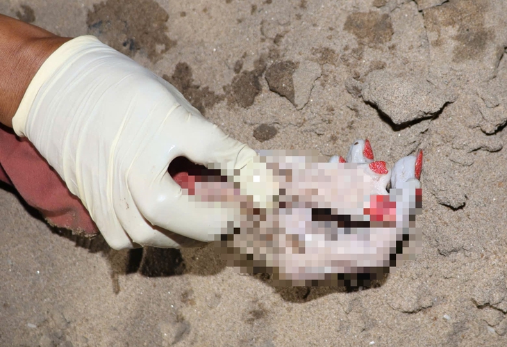 Phát hiện thi thể trôi sông Sài Gòn, bàn tay có 6 ngón, sơn màu đỏ - Ảnh 1.