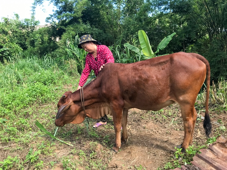 điện gió - Ảnh 2.