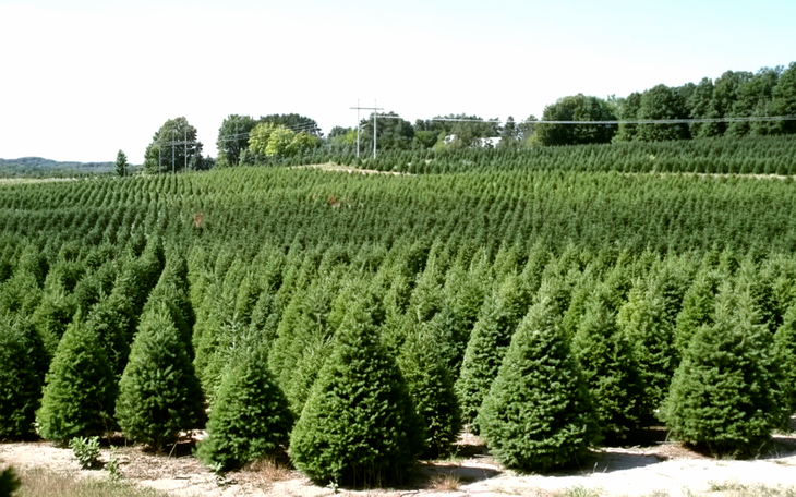 Thực hư thông tin Israel ký hợp đồng 6 triệu USD với ChatGPT? - Ảnh 3.