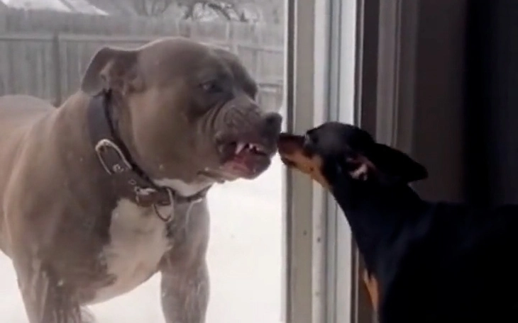 Quiz: Bạn tốt bụng, dịu dàng hay là người tỉ mỉ, sáng tạo - Ảnh 5.