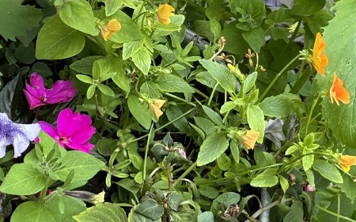 Quiz: Bạn ấm áp, chu đáo hay là người trầm lặng, suy tư? - Ảnh 3.