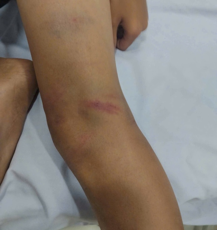 Quảng Ngãi - Ảnh 2.