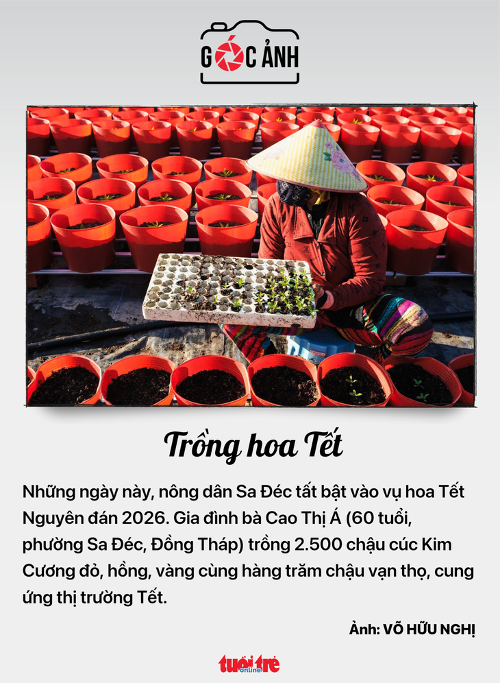 sổ đỏ - Ảnh 7.