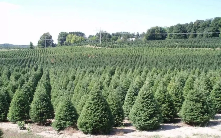 Thực hư video về hang động chứa đầy vàng ở Syria? - Ảnh 3.