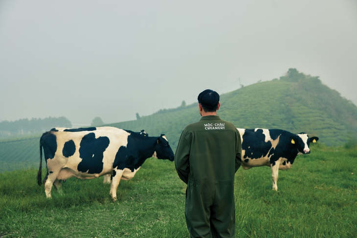 Mộc Châu Creamery - Ảnh 3.