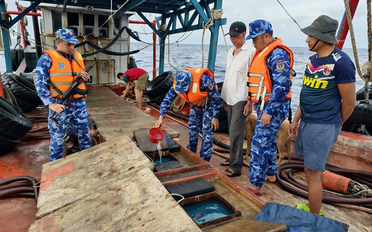 Tàu cá ở An Giang vẽ biển số giả, vận chuyển khoảng 50 tấn cá trái phép trên biển - Ảnh 2.