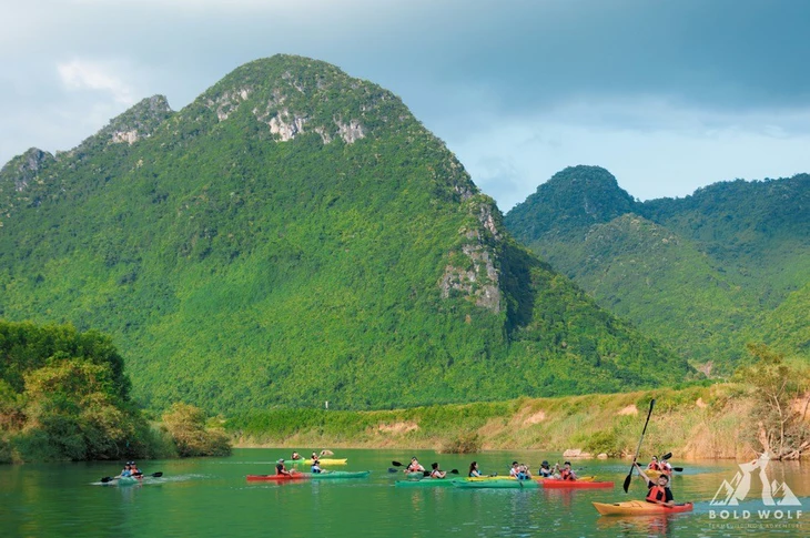 bold wolf - Ảnh 4.