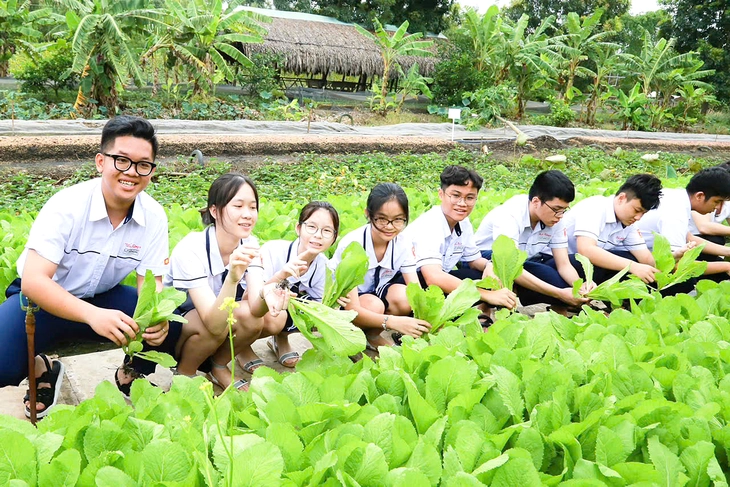 hướng nghiệp - Ảnh 2.