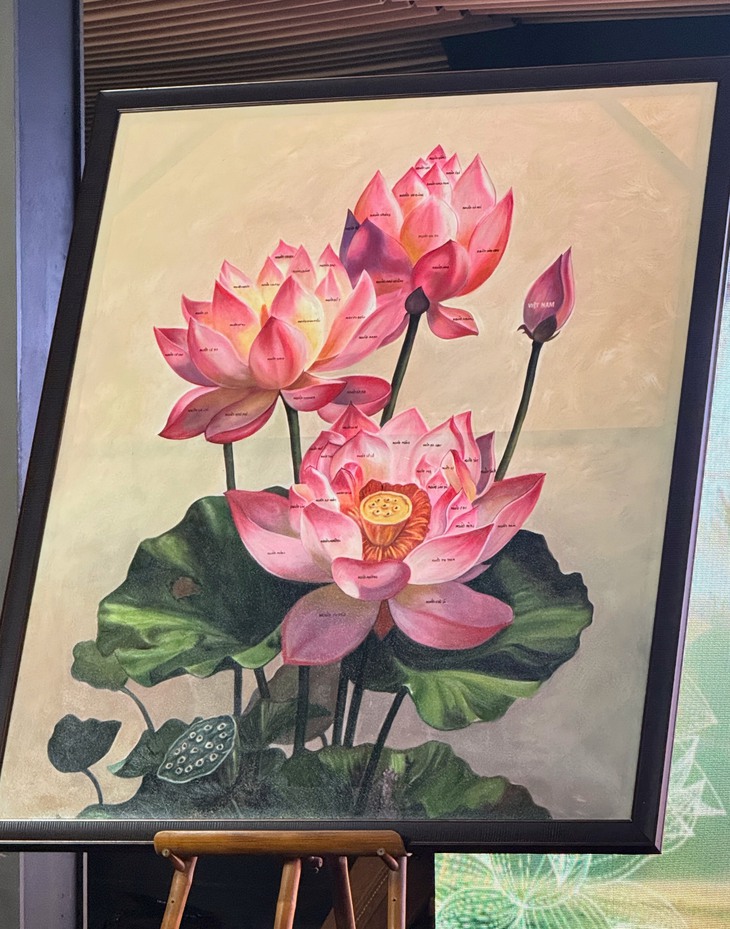 Ca sĩ Phúc Anh xác nhận kỷ lục Việt Nam  - Ảnh 2.