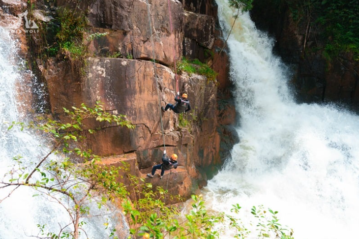 bold wolf - Ảnh 2.