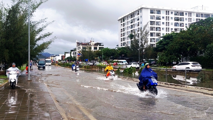 Sở kiến nghị tỉnh loại bỏ cây mọc trái thiết kế dự án thoát lũ ở Nha Trang - Ảnh 4.