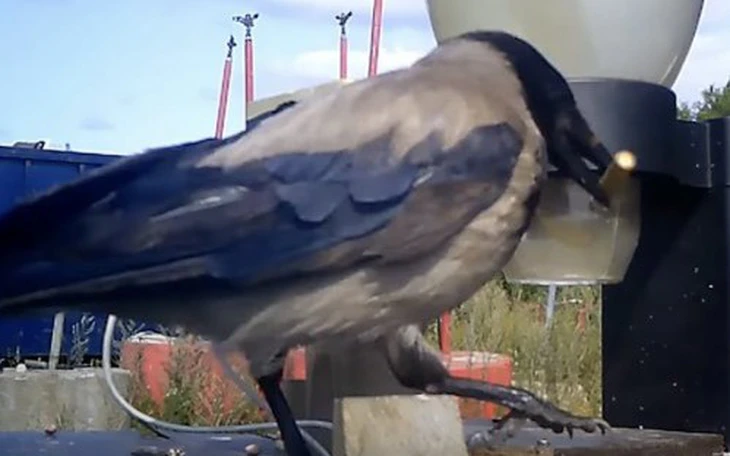 Có thật 3 bộ trưởng Anh từ chức sau bài phát biểu của Hoàng tử William? - Ảnh 2.