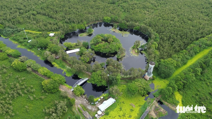 rắn hổ mang chúa - Ảnh 2.