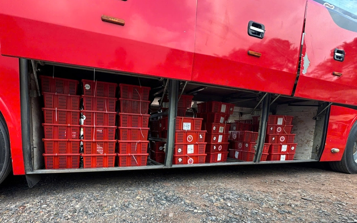 Bàn giao 676 con rắn hổ mang nặng gần 1 tấn cho Trại rắn Đồng Tâm - Ảnh 2.