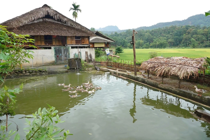 mái ấm - Ảnh 1.