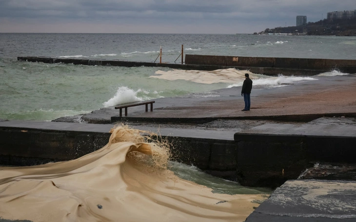 Sự cố tràn dầu tại Dung Quất khiến cá chết hàng loạt - Ảnh 4.