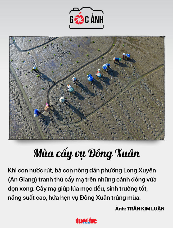 công chức lãnh đạo - Ảnh 5.