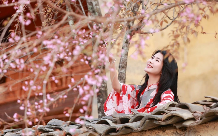 Lên đồ ngắm mùa hoa mai anh đào ở Hà Giang - Ảnh 8.