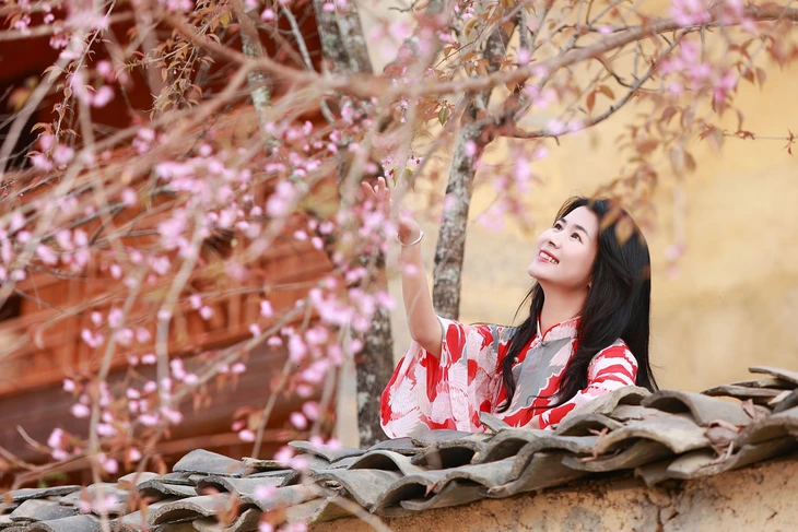 mai anh đào - Ảnh 2.