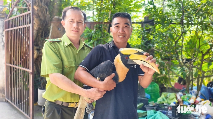 chim hồng hoàng - Ảnh 3.