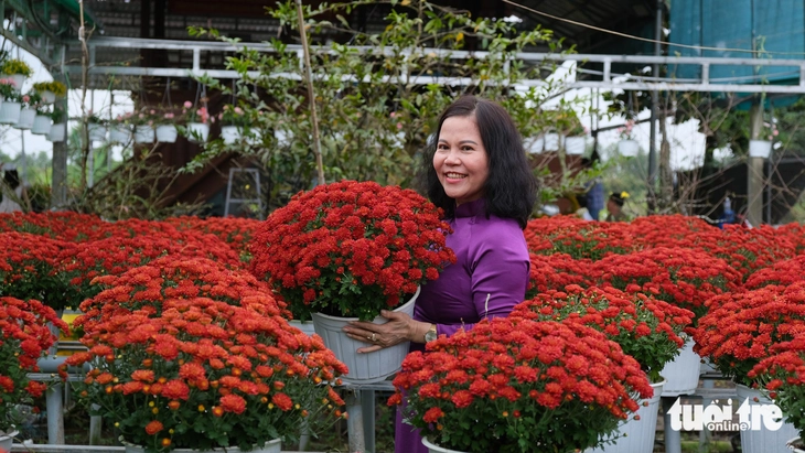 Làng hoa Sa Đéc dập dìu chuyển hoa từ ruộng lên phố trang trí Tết tây - Ảnh 2.