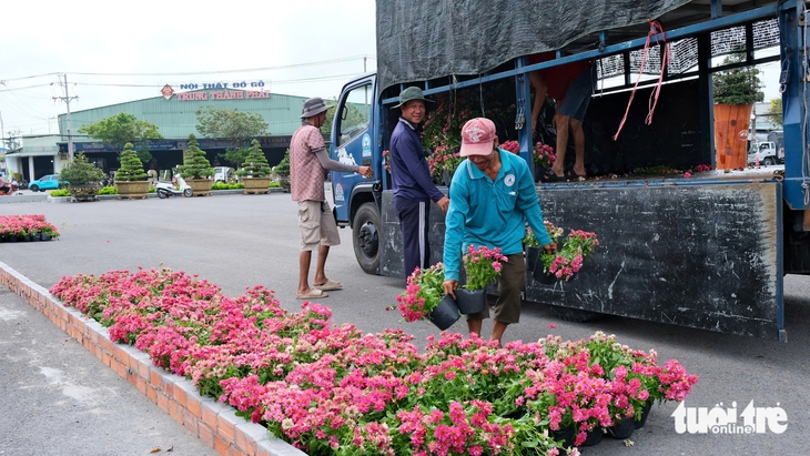 làng hoa Sa Đéc - Ảnh 8.