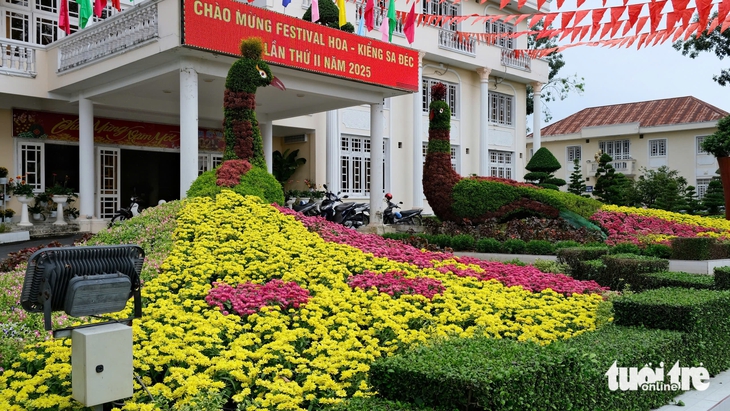 làng hoa Sa Đéc - Ảnh 9.