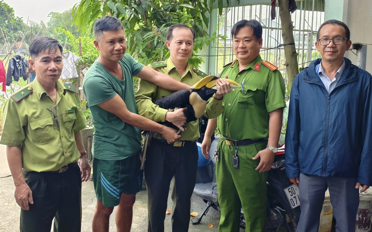 Khen thưởng đột xuất hai người dân tự nguyện giao chim hồng hoàng quý hiếm ở Xuân Thới Sơn - Ảnh 4.