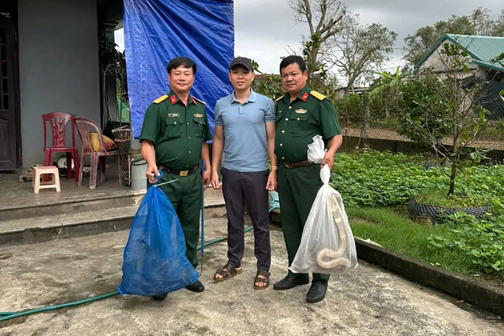 Bàn giao 676 con rắn hổ mang nặng gần 1 tấn cho Trại rắn Đồng Tâm - Ảnh 3.