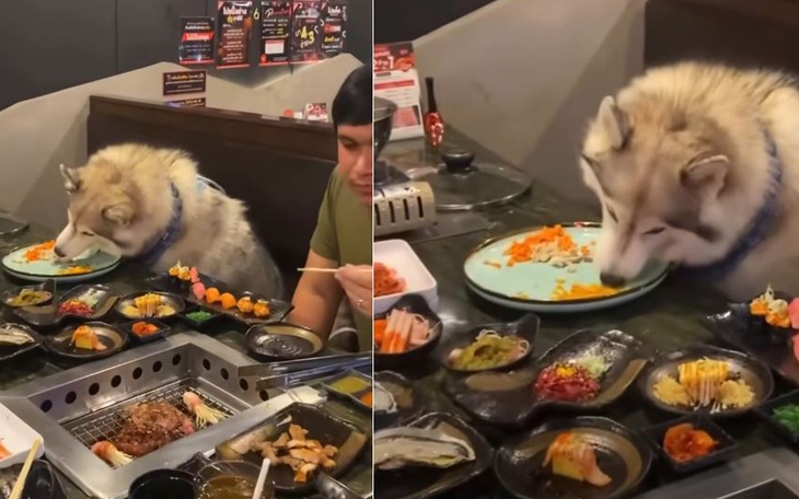 Nam cảnh sát gây sốt vì giống tài tử Bành Vu Yến - Ảnh 4.