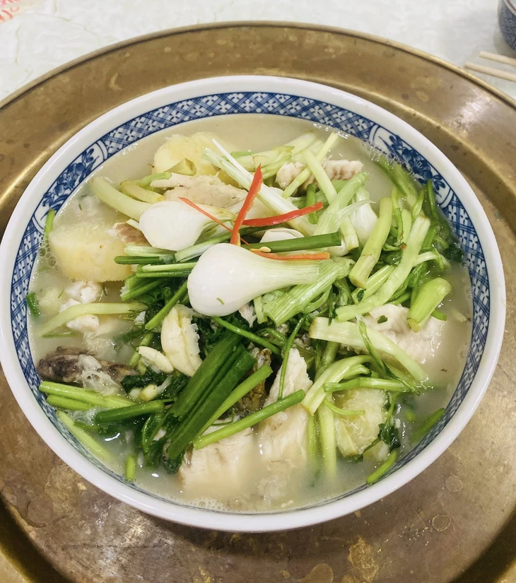 cá quả củ từ - Ảnh 9.