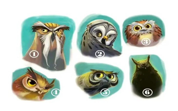 Quiz: Bạn đang tìm kiếm gì ở người bạn đời? - Ảnh 2.