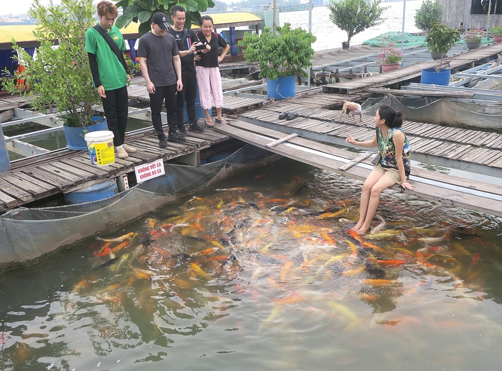 Nghỉ Tết dương lịch - Ảnh 1.