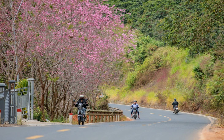 Bắn pháo hoa tầm thấp tại Đà Lạt, Phan Thiết, Gia Nghĩa, chào năm mới 2026 - Ảnh 2.