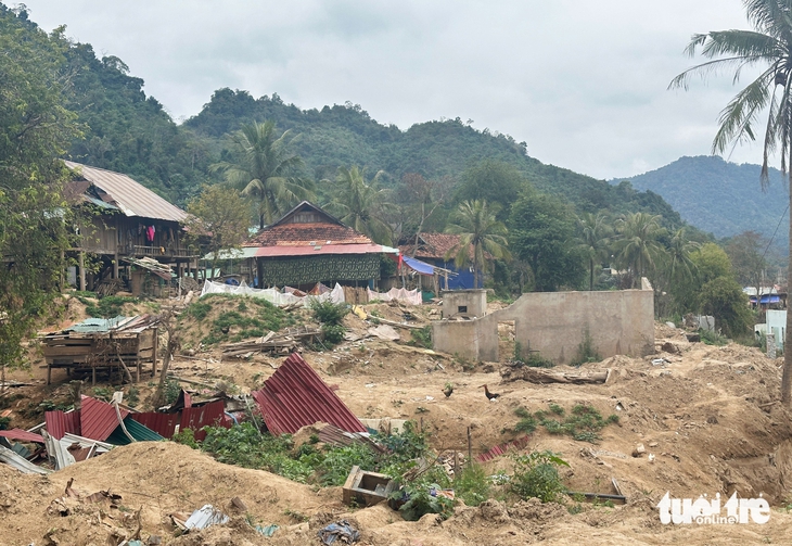 greenfeed - Ảnh 4.