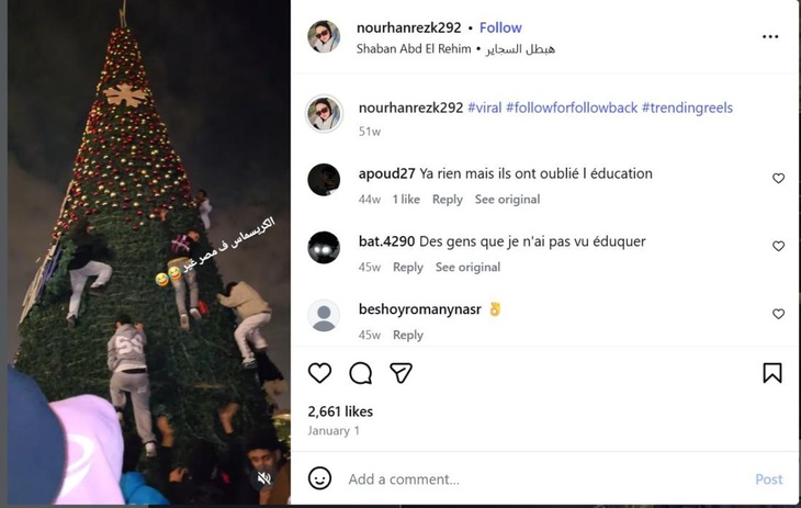 cây thông Noel - Ảnh 2.