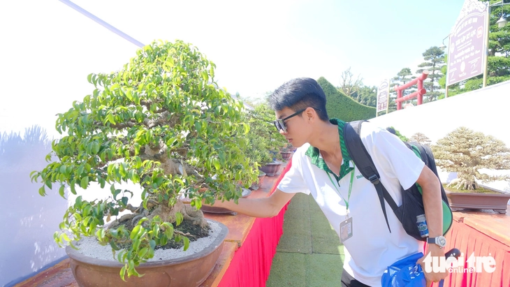 Hàng trăm cây bonsai trưng bày dịp Festival hoa kiểng Sa Đéc - Ảnh 2.