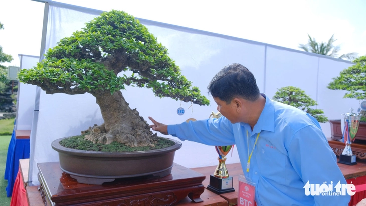Hàng trăm cây bonsai trưng bày dịp Festival hoa kiểng Sa Đéc - Ảnh 8.
